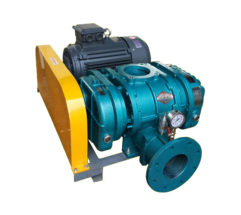 <b>DSR100G羅茨風(fēng)機(jī)</b>